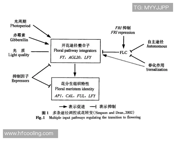南京网球队灵活性表现分析及其对比赛策略的影响探讨