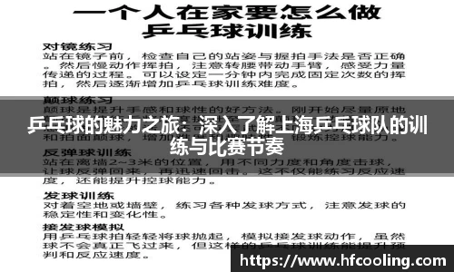 乒乓球的魅力之旅：深入了解上海乒乓球队的训练与比赛节奏